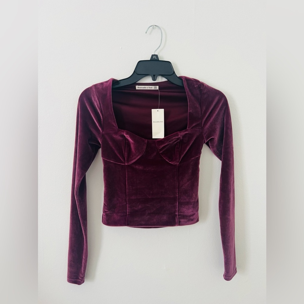 Abercrombie & Fitch Whimsigoth Coquette Velvet‎ Purple Crop Top Long Sleeve XXS